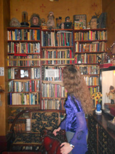 house-of-magic-bookcase