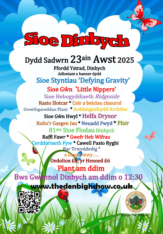 Poster for Sioe Dinbych