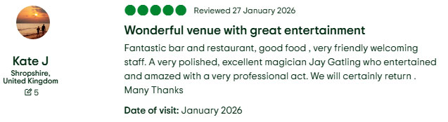 Screenshot of a TripAdvisor review "entertained and amazed"